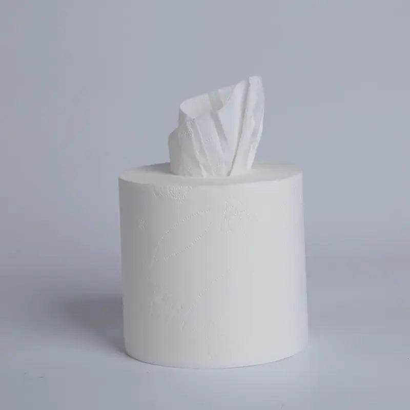 80g Hotel Toilet Paper Rolls, 10pcs